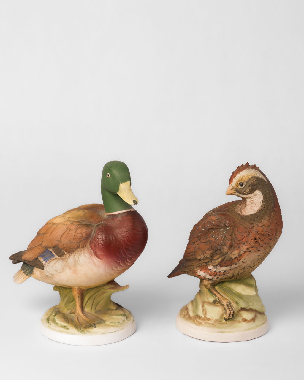 Codorniz y Pato Vintage | Casa Perlo