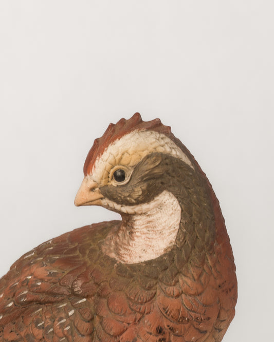 Codorniz y Pato Vintage | Casa Perlo