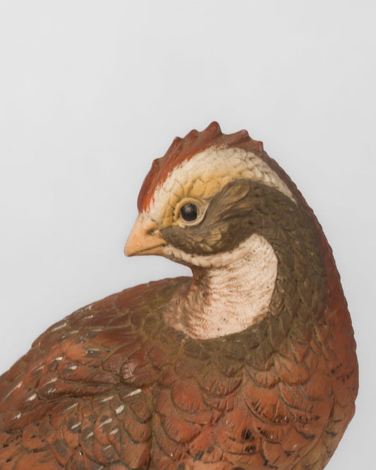 Codorniz y Pato Vintage | Casa Perlo