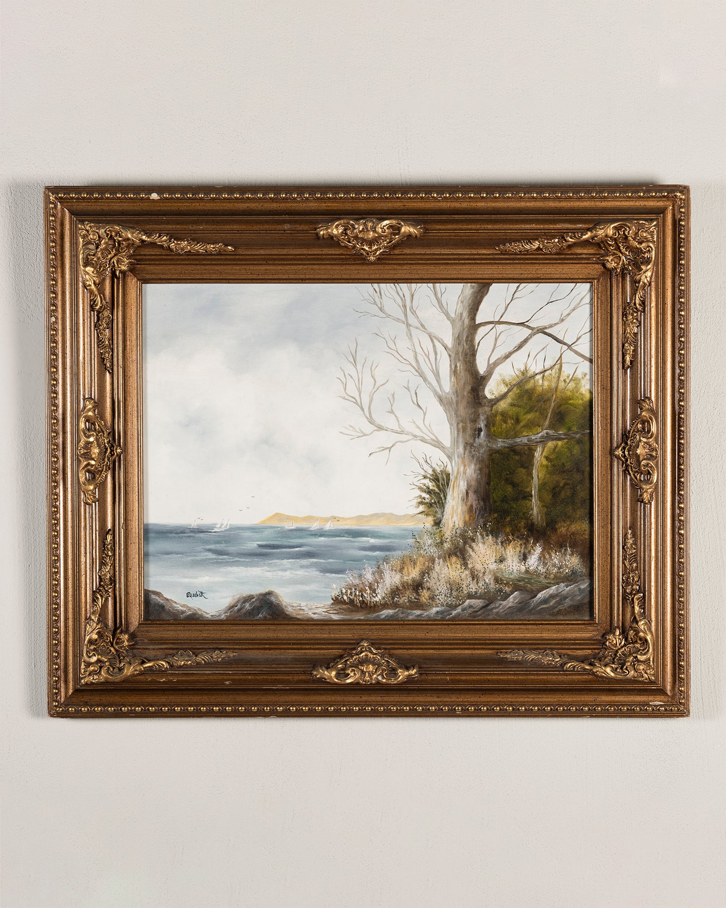 Paisaje con Árbol | Casa Perlo