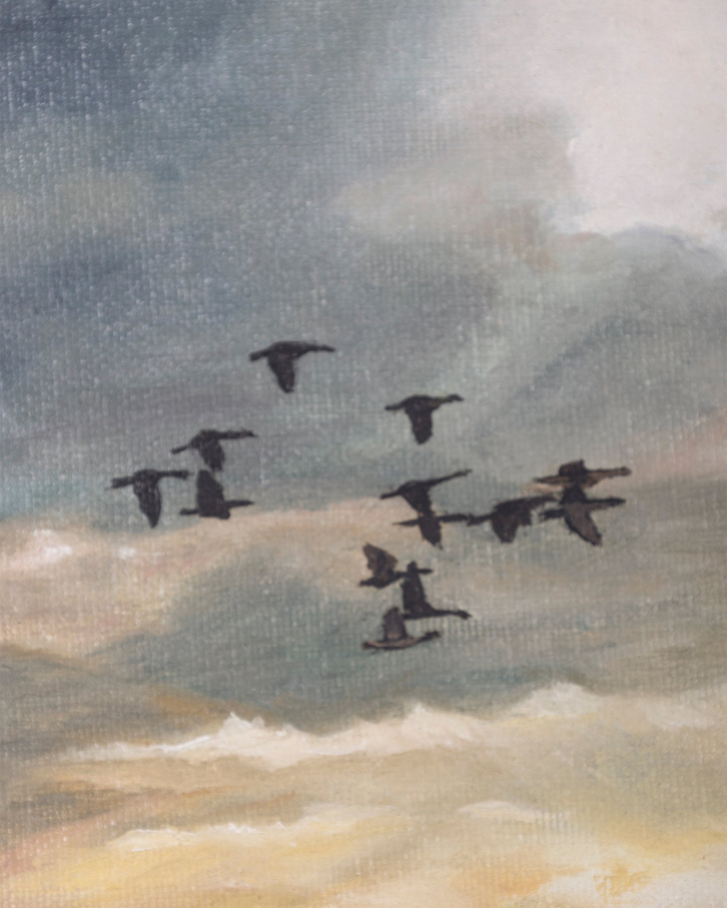 Atardecer con Aves | Casa Perlo