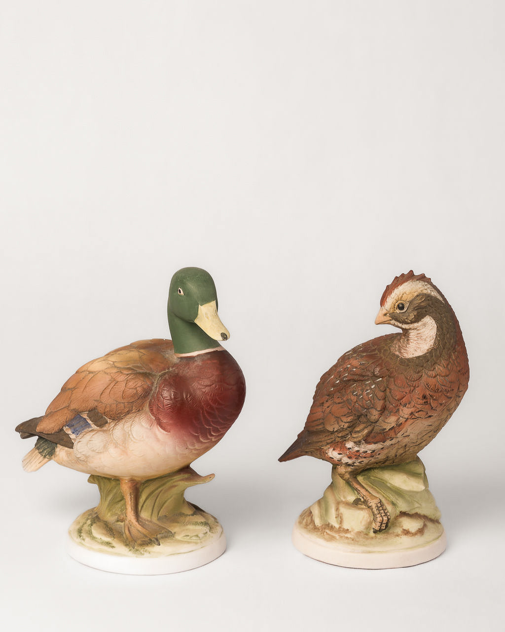 Codorniz y Pato Vintage | Casa Perlo