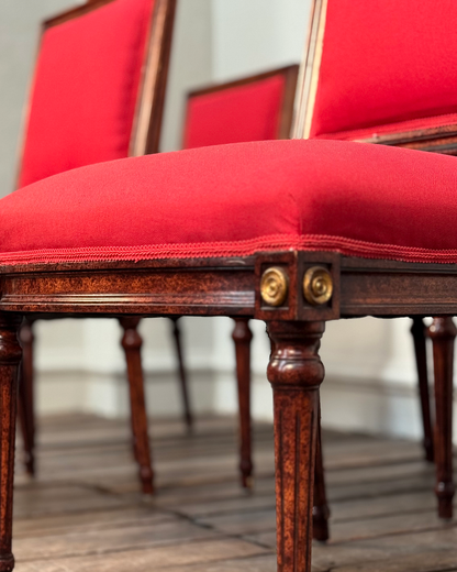 Sillas Luis XVI Vintage | Casa Perlo